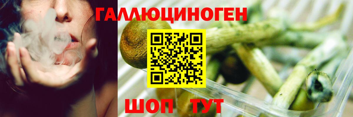Артём  Галлюциногенные грибы MAGIC MUSHROOMS  Вход с VPN 